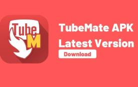 Digital Paradise For Regular YT Watchers And Downloaders