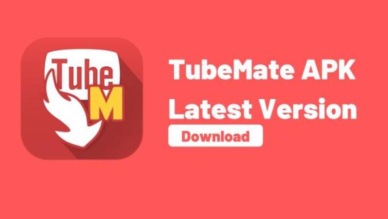 Digital Paradise For Regular YT Watchers And Downloaders